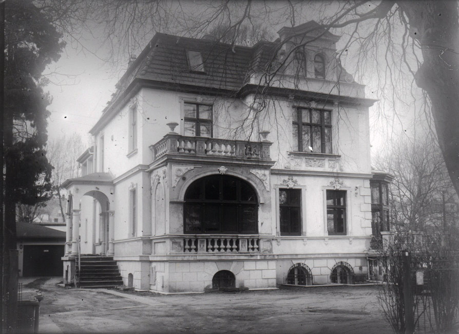 Silver gelatin dryplate