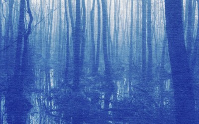 Cyanotype