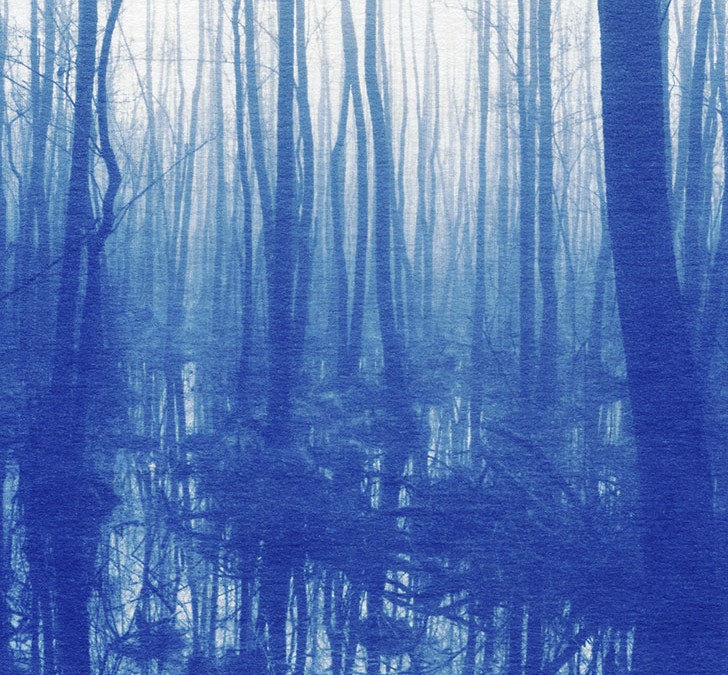 Cyanotype