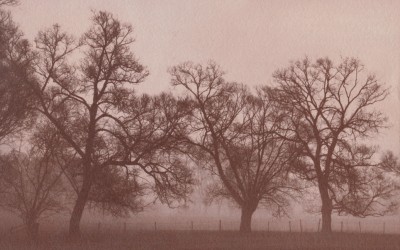 Advanced albumen and salt print