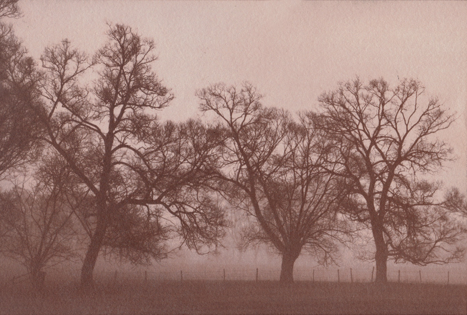 Advanced albumen and salt print